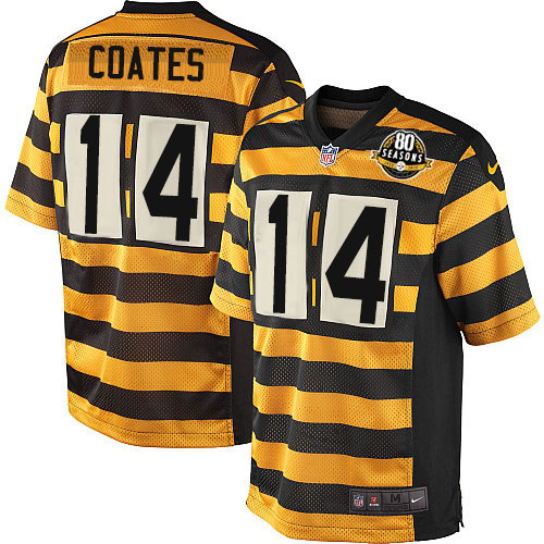 Youth Limited Sammie Coates 80th Anniversary Nike Jersey Gold/Black Alternate - #14 Throwback NFL Pittsburgh Steelers